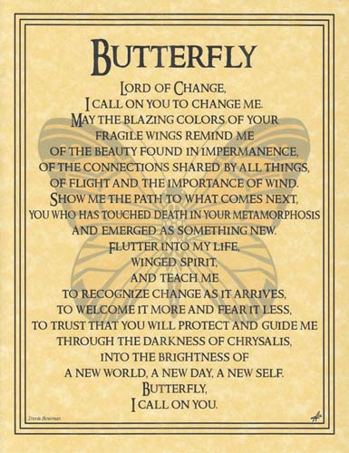 Butterfly - Click Image to Close