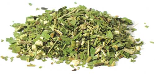 Echinacea Purpurea Leaf cut 2oz