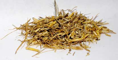 Witches Grass cut 1oz