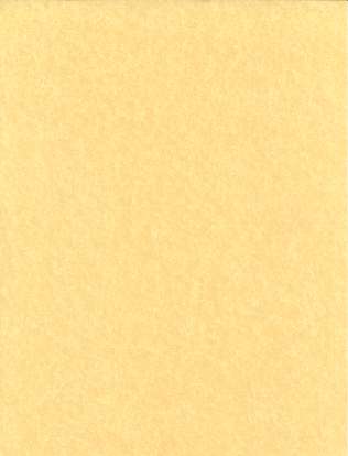 500pk 24# 8 1/2"x11" parchment - Click Image to Close