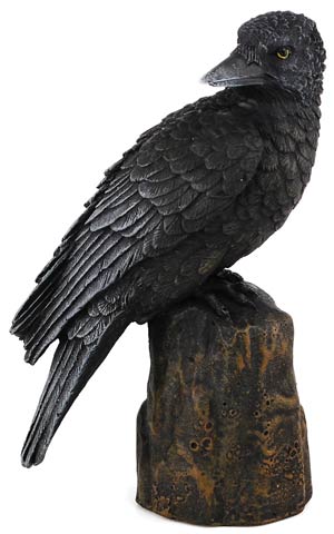 Raven back 6" - Click Image to Close