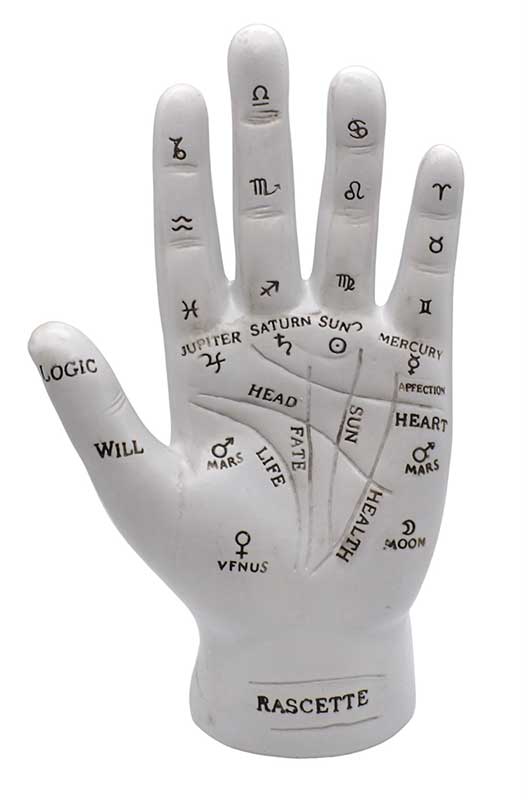 7" Palmistry Hand - Click Image to Close